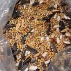 اكل روز وطيور حب وكناري (8ريال للكيلو )