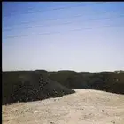 مقشور وأعمل في مقشور
