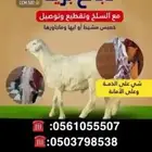 ذبائح ذبايح مع خدمه سلخ وتوصيل