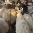 بهم نعيم تربية طيب العدد 48