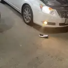 افالون ليميتد 2010