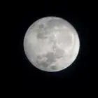 تلسكوب فلكي