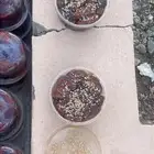 بيشة   الحازمي