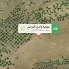وادي الدواسر كبيره بجنبها مشاريع زراعيه