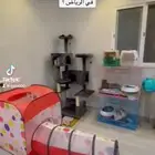 فندقة قطط الرياض