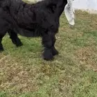 للبيع جفر عارضي خصم الخصم
