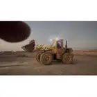 شيول 50 سي موديل 81