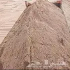 بطحا رقم 1