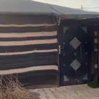 بيت شعر