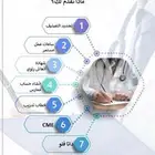 ساعات ممارس بلس هيئة التخصصات