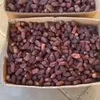 مجدول فاخر ب 10 ريال الكيلو فرصه