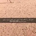 للبيع بكر وضحاء كفو لقحه