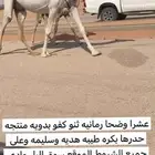 عشرا وضحا كفو معها بكره طيبه
