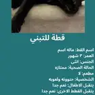 حيوانات