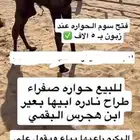 صفرا