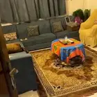 كنب