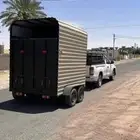 عربه خيل راسين توصيل