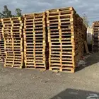 الطبليات