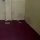 غرفة بدورة مياه للايجار