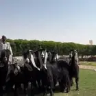 معزا عوارض فاخرهه