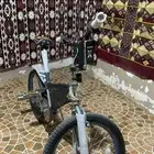 كوبرا رصاصي