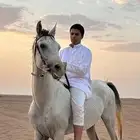 حصان شعبي بطل