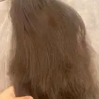 باروكه شعر اوربي