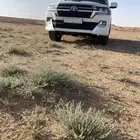 جكسار فتحه 12 مرهم 2021تورنق خارجي للبدل للبدل يوكن او