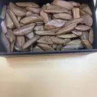 بخور خشب جوده وفوحان