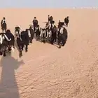 معزا عارضية شبب مطافيل ودفيع مقنوي