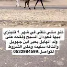 لقحه كفو