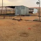 حديد للبيع اكثر من اللي بالصوره