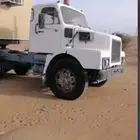 فلفو سقس راس كفو