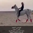 فرس شعبيه