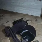 سرج اخو الجديد