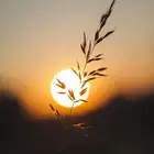 احتاج شقه تكون 5 غرف ويكون كل شي مستقل