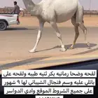 لقحه وضحا ثنيه كفو
