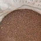 خياش بطحا حايل