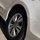 جنوط اكورد