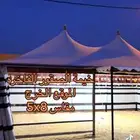 خيمة الصقور