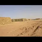 أعلاف للبيع