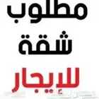 مطلوب شقة جديدة للإيجار