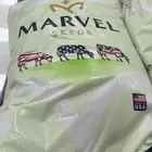 برسيم مارفل امريكي