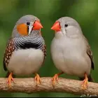 تم تغير رقم