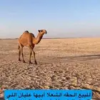 للبيع شعلا حقه طيبه