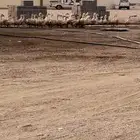 للبيع بط بكين عل حسب طلب