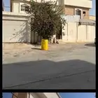 فيلا للإيجار