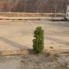 ارض زراعية للبيع