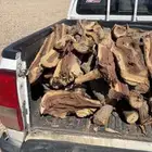 حطب مستورد (س)م ر مسح هايلكس غمارتين