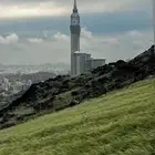 توصيل حيوانات بأقفاص ومكيف بنفس اليوم